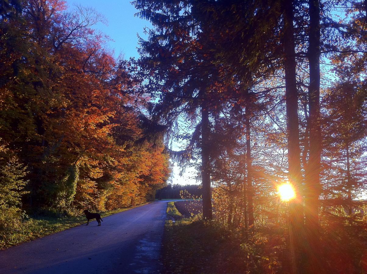 Gasthof Teufl Purgstall an der Erlauf Eksteriør bilde