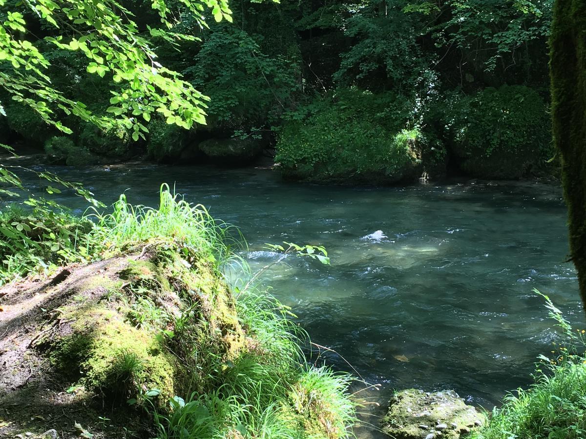 Gasthof Teufl Purgstall an der Erlauf Eksteriør bilde